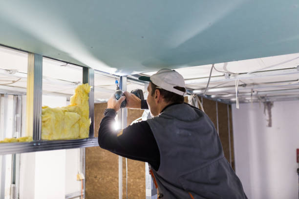 Best Commercial Insulation in Bolivar Peninsula, TX