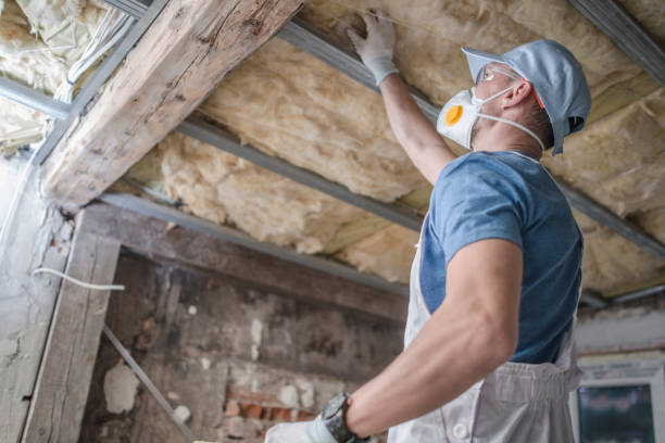 Reliable Bolivar Peninsula, TX Insulation Contractor Solutions