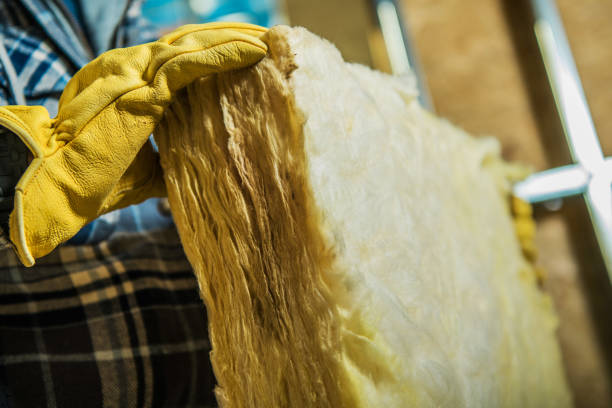 Best Residential Insulation in Bolivar Peninsula, TX