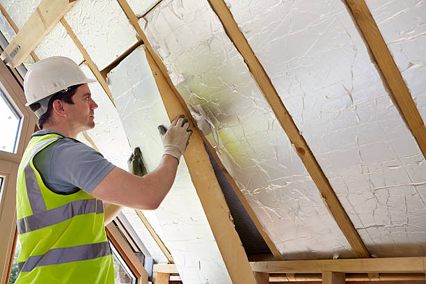 Best Insulation Maintenance and Repair in Bolivar Peninsula, TX