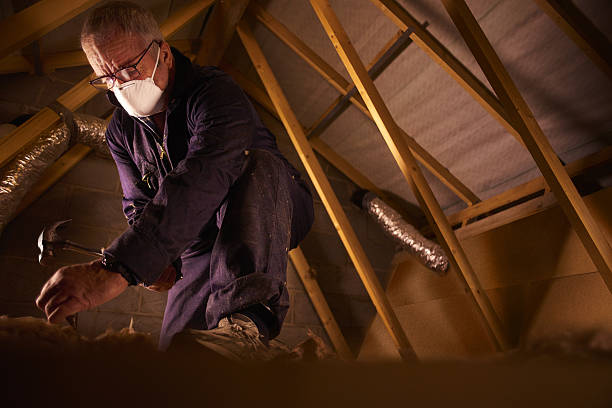Best Energy Efficiency Insulation in Bolivar Peninsula, TX