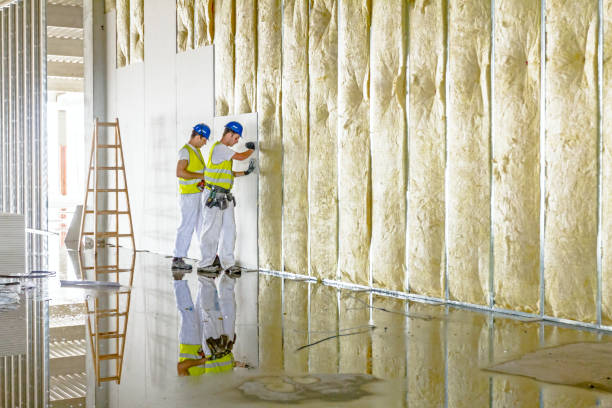 Best Blown-in Insulation in Bolivar Peninsula, TX